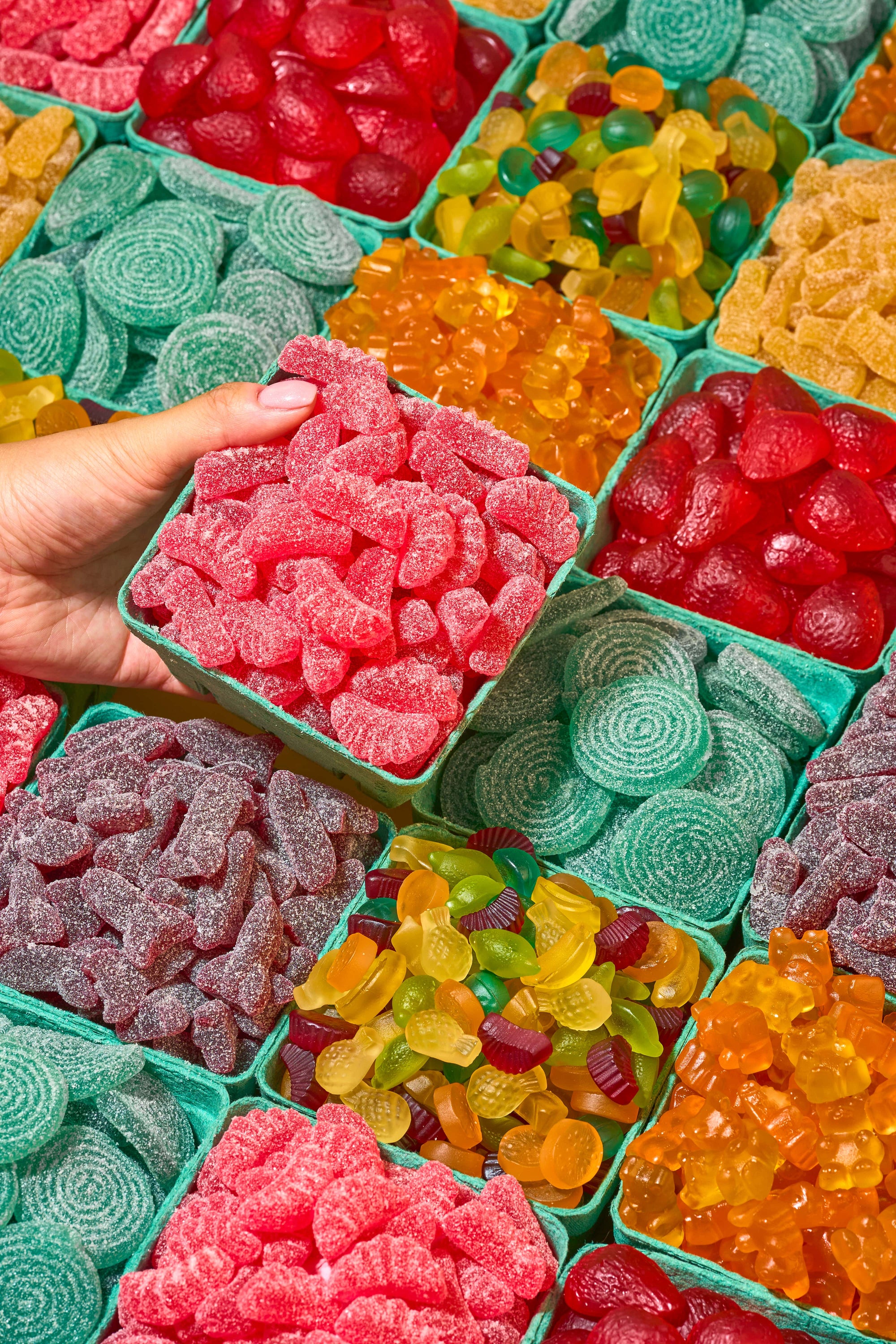 lil sweet treat signatures: farmers market medley (1lb)