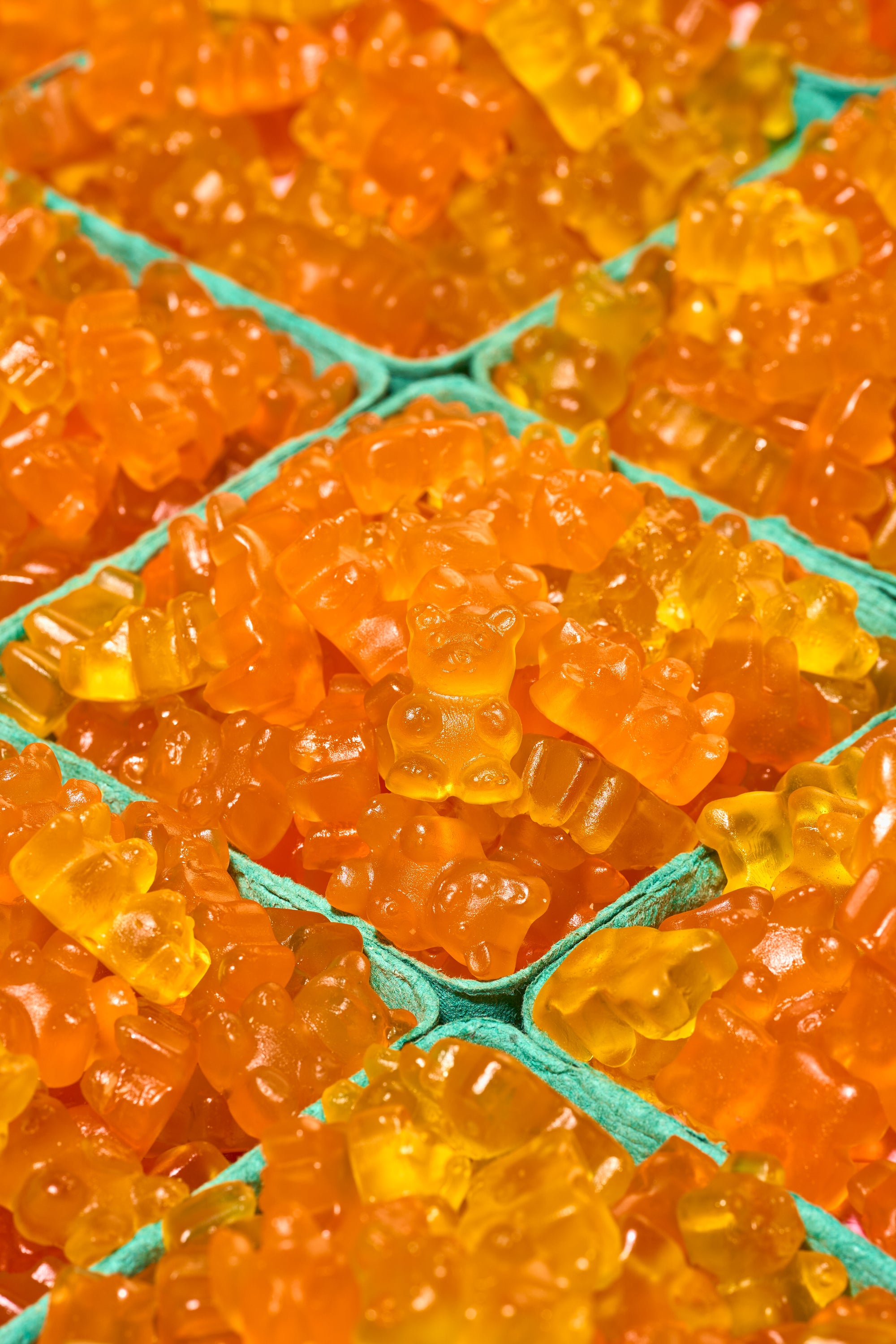 mango tango teddies (lil sweet treat signature) 1lb