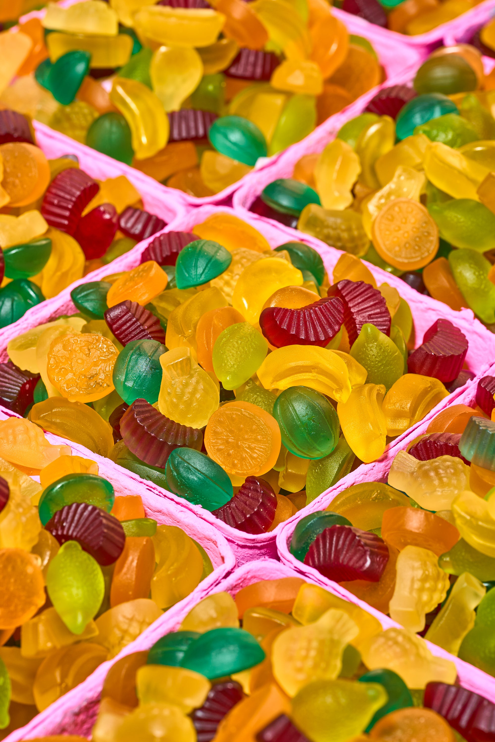 fizzy fruit picnic (lil sweet treat signature) 1lb