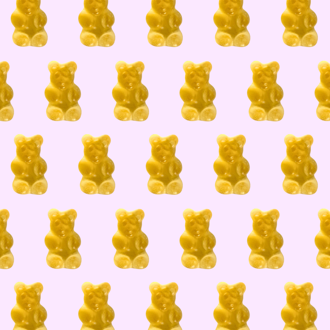 champagne bears