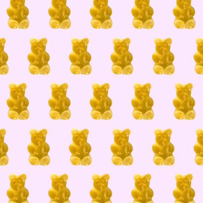 champagne bears