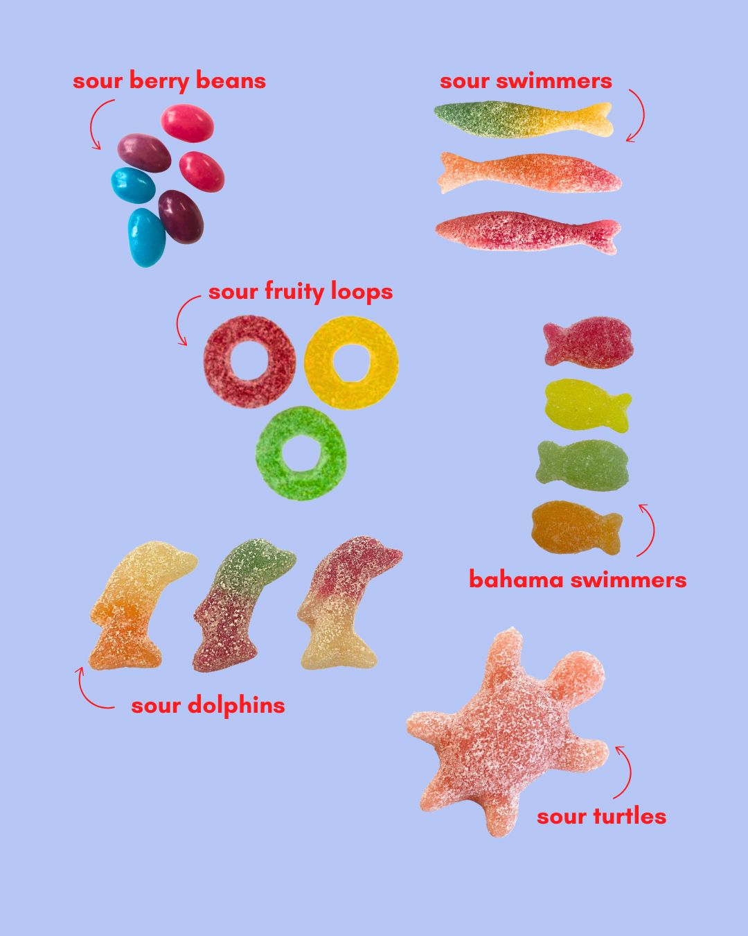 fin + fizz: sour gummy candy mix