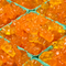 mango tango teddies