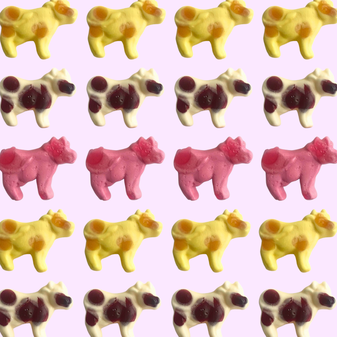 moo chews (Belgium) 1lb