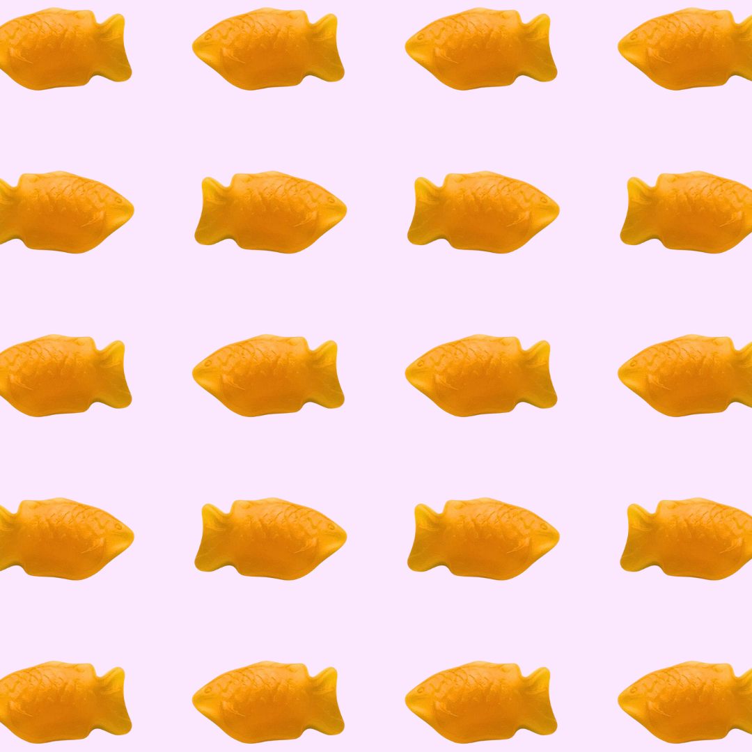 orange fishies from Czech Republic