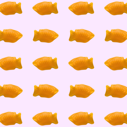 orange fishies from Czech Republic