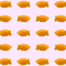 orange fishies