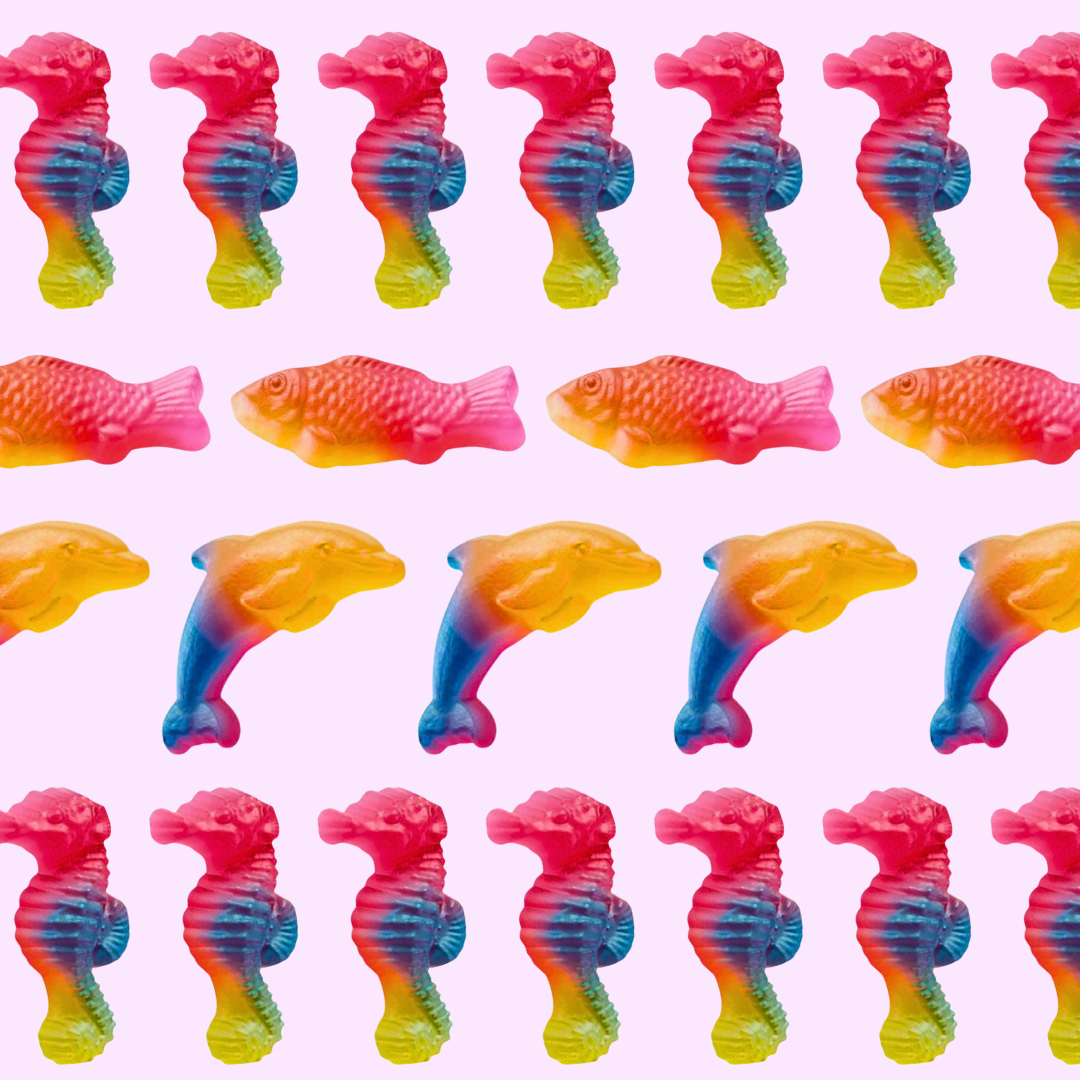 rainbow sea animals