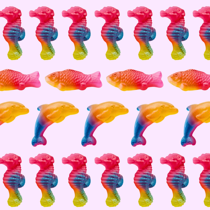 rainbow sea animals